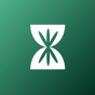 InMinutes AI logo