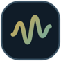Music Visualizer logo