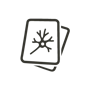 MindDory logo