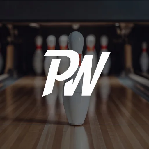 Pinwise logo