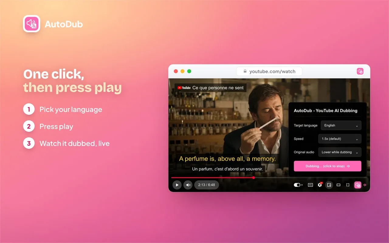 AutoDub screenshot 3