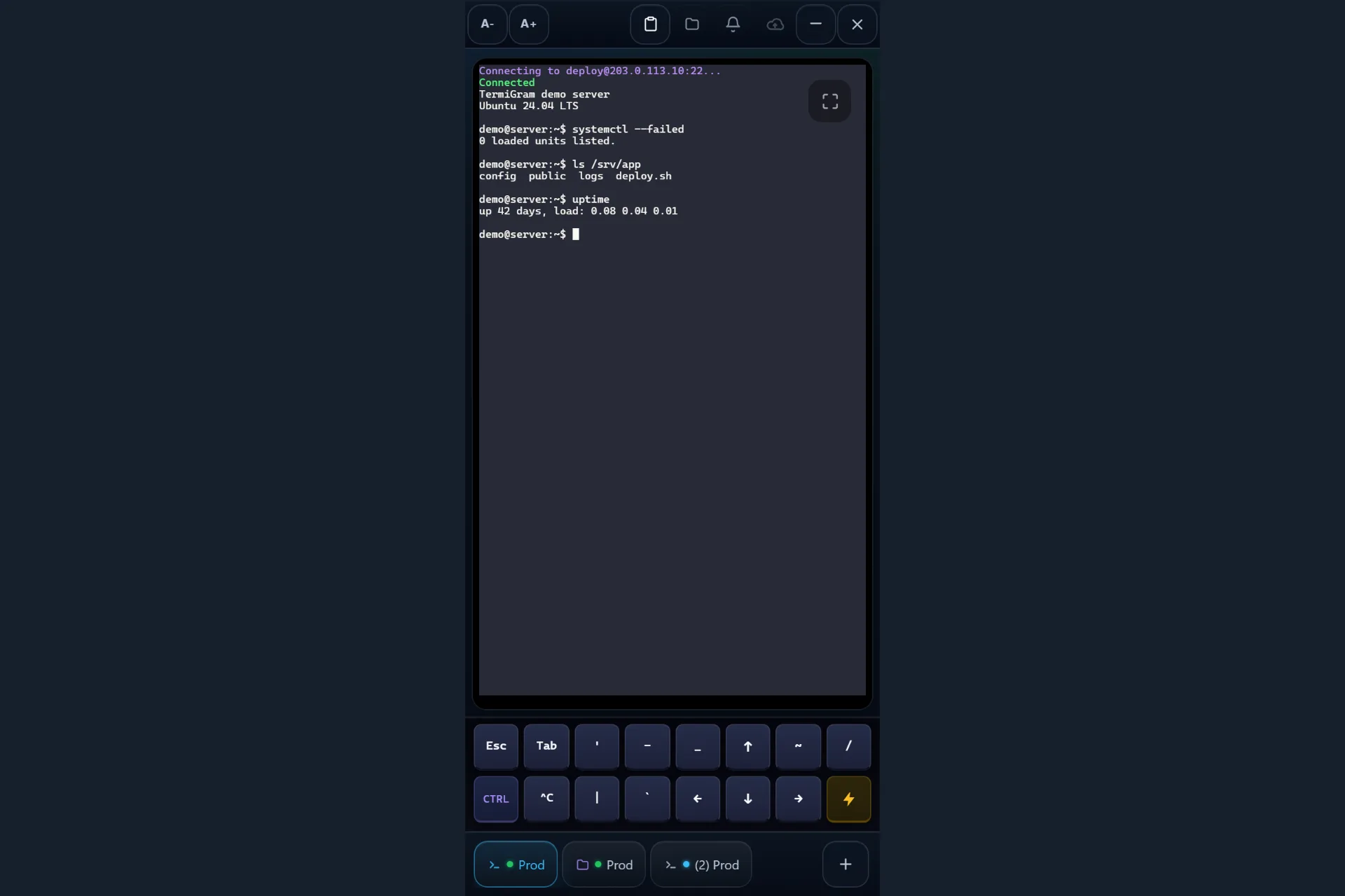 TermiGram screenshot 2