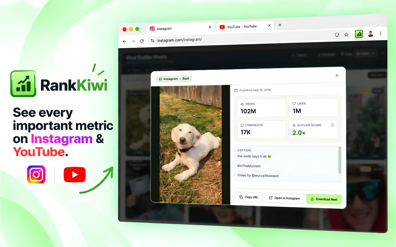 Rank Kiwi screenshot 4